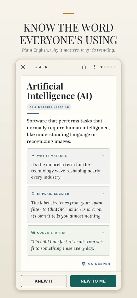A TopicLingo term card with plain-English explanation