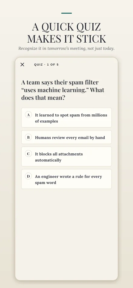 TopicLingo quiz